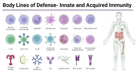 Immunity: How the Body Defends Itself –  A Masterful Exploration of Our Innate and Adaptive Defenses