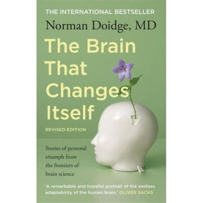  “The Brain That Changes Itself: Stories of Personal Triumph from the Frontiers of Brain Science” – Một Cuộc Phiêu Lưu Thú Vị Qua Cấu Trúc Bộ Não